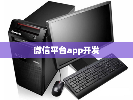 微信平台app开发
