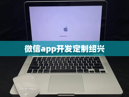 微信app开发定制绍兴