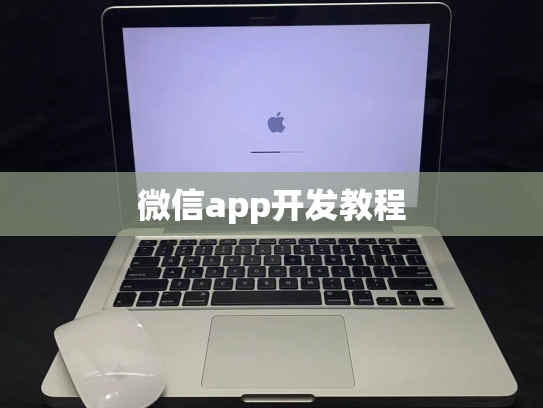 微信app开发教程