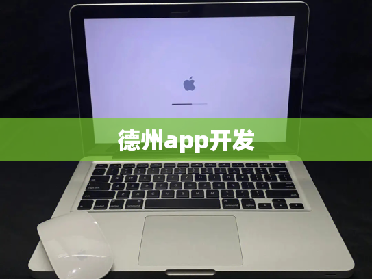 德州app开发