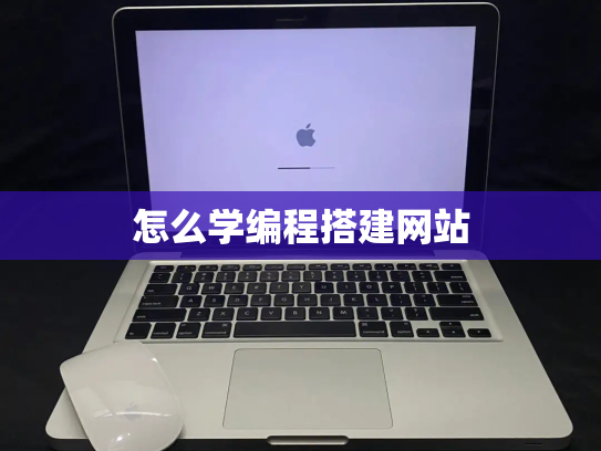 怎么学编程搭建网站