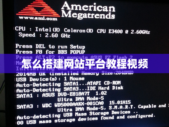 怎么搭建网站平台教程视频