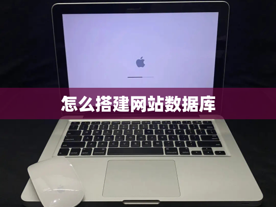 怎么搭建网站数据库