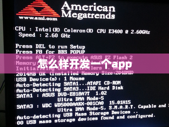 怎么样开发一个app