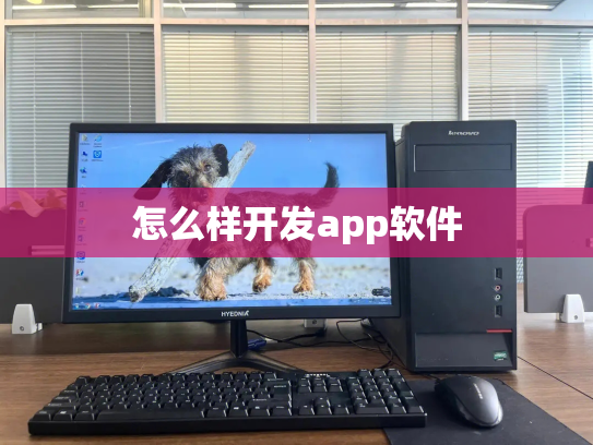 怎么样开发app软件