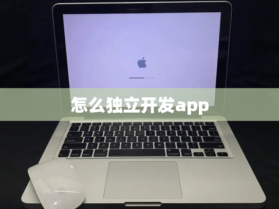 怎么独立开发app