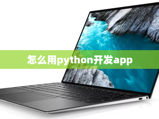 怎么用python开发app