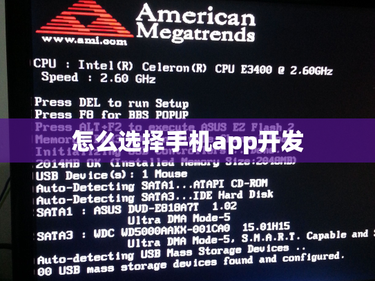 怎么选择手机app开发