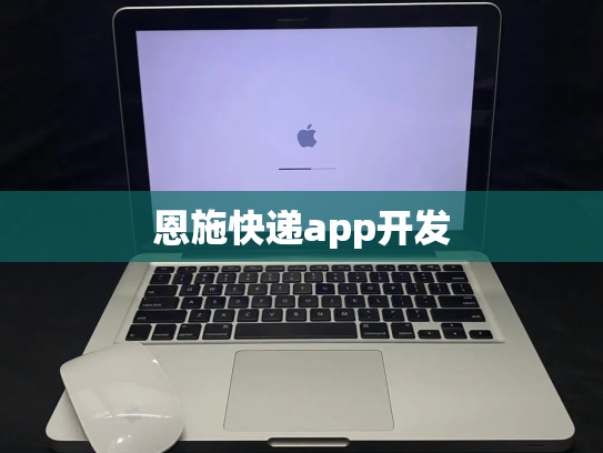 恩施快递app开发