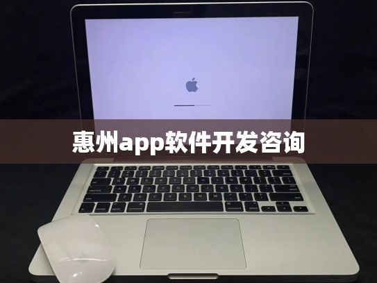 惠州app软件开发咨询