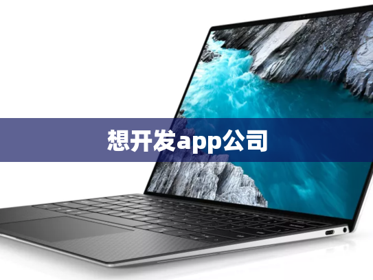 想开发app公司
