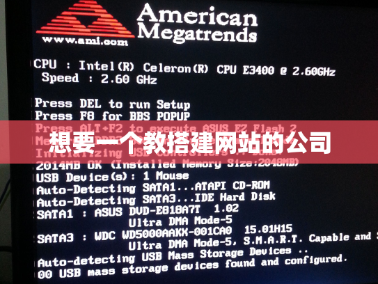 想要一个教搭建网站的公司