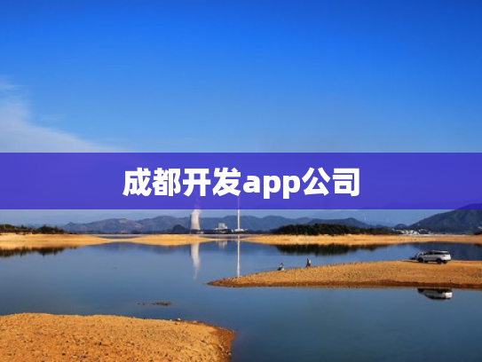 成都开发app公司