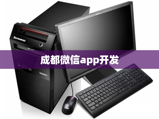 成都微信app开发