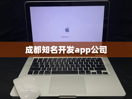 成都知名开发app公司
