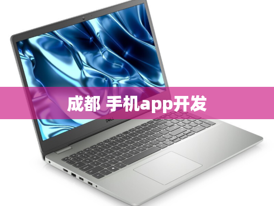 成都 手机app开发