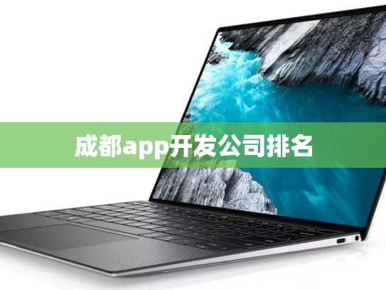 成都app开发公司排名