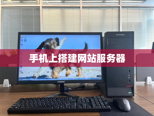 手机上搭建网站服务器