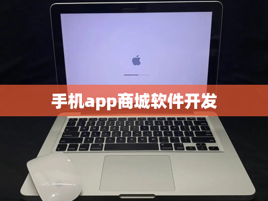 手机app商城软件开发