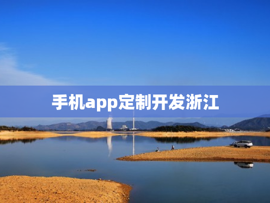 手机app定制开发浙江