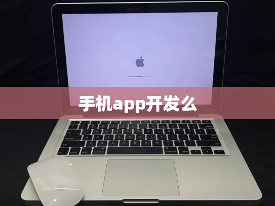 手机app开发么