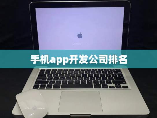 手机app开发公司排名