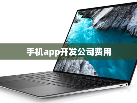 手机app开发公司费用