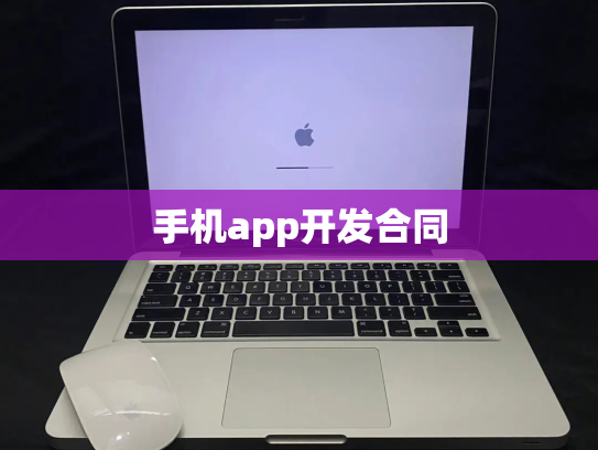 手机app开发合同