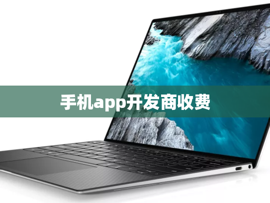 手机app开发商收费