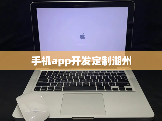 手机app开发定制湖州