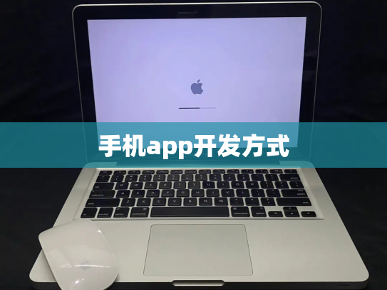 手机app开发方式