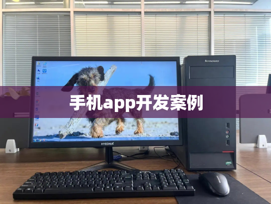 手机app开发案例
