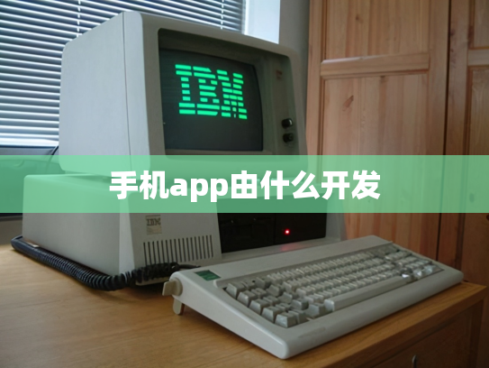手机app由什么开发