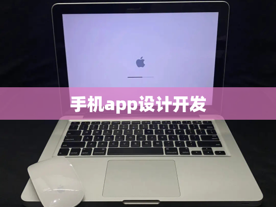 手机app设计开发