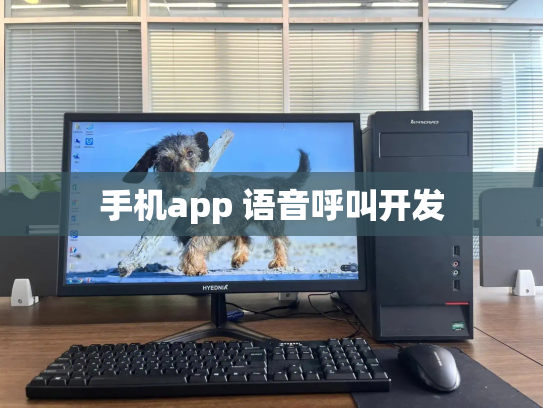 手机app 语音呼叫开发