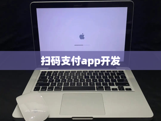 扫码支付app开发