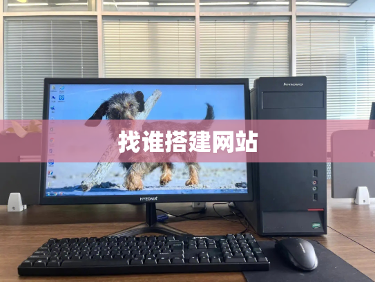 找谁搭建网站
