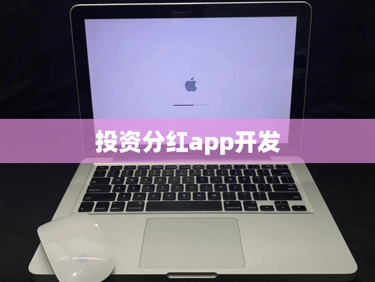 投资分红app开发