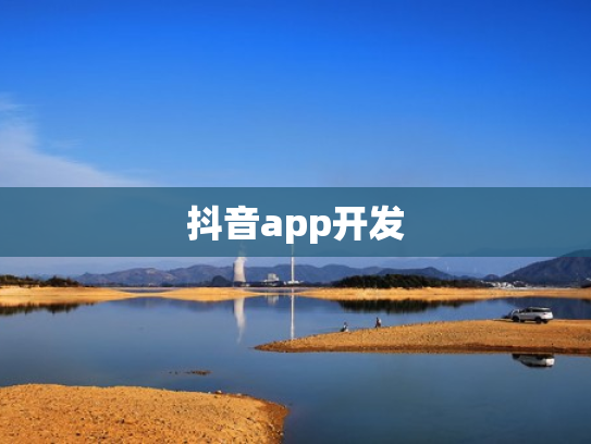 抖音app开发
