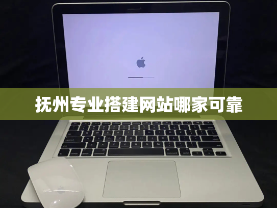 抚州专业搭建网站哪家可靠