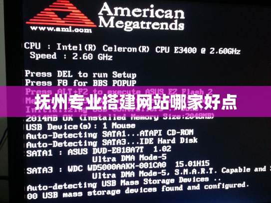 抚州专业搭建网站哪家好点