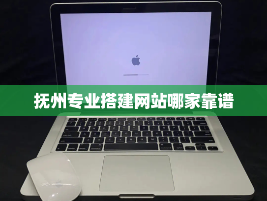 抚州专业搭建网站哪家靠谱