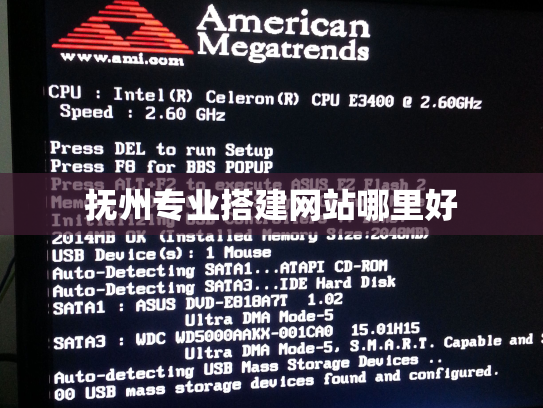 抚州专业搭建网站哪里好