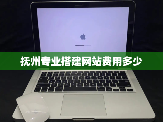 抚州专业搭建网站费用多少
