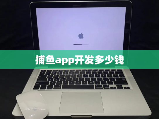 捕鱼app开发多少钱