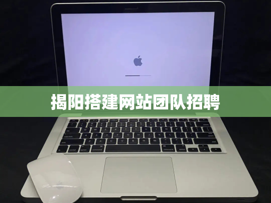 揭阳搭建网站团队招聘