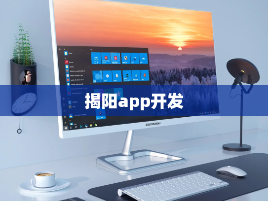 揭阳app开发