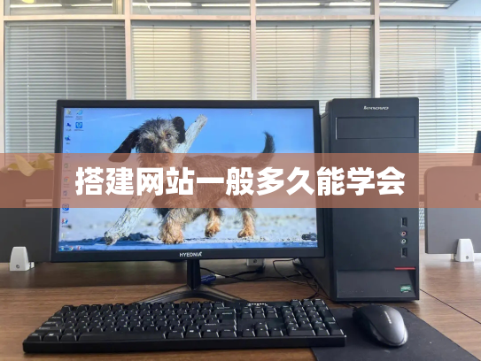 搭建网站一般多久能学会