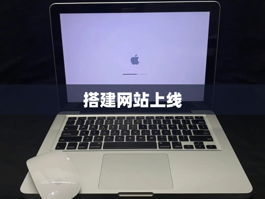搭建网站上线