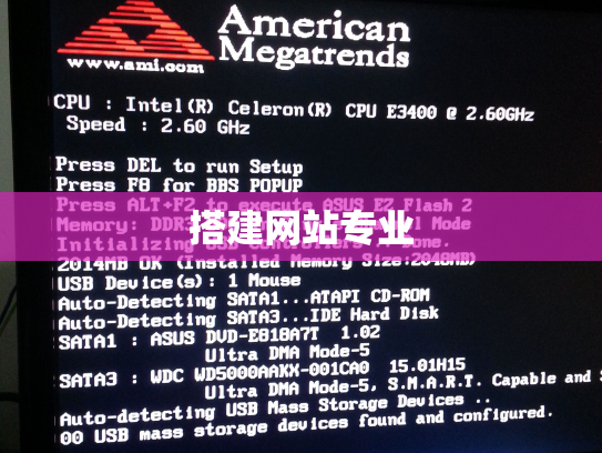 搭建网站专业